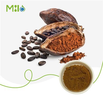 אבקת תמצית קקאו