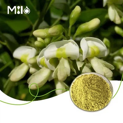 אבקת Quercetin Dihydrate