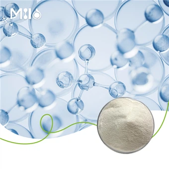 קולגן מסוג II לא מטופח